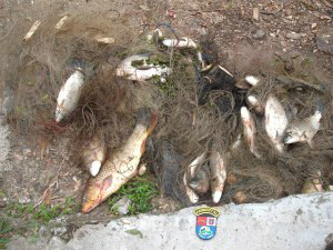 Polícia Ambiental apreende 80 kg de pescado e 500 metros de redes de pesca
