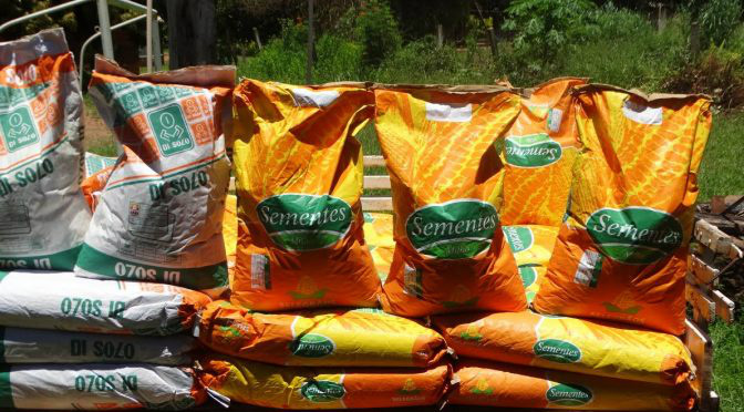 Governo do MS inicia repasse de sementes e combustível para aldeias indígenas