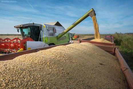 Agronegócio representa 95% das exportações em MS Soja foi o principal item exportado pelo agronegócio no MS(Foto: Divulgação)