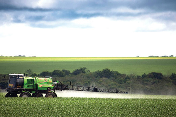 Para fórum, segurança alimentar depende do fim de agrotóxicos e transgênicos O sistema de produção baseado na monocultura, com uso de agrotóxicos, é combatido pelo Fórum Brasileiro de Soberania e Segurança Alimentar. (Foto: Ricardo Teles/Pulsar Imagens)