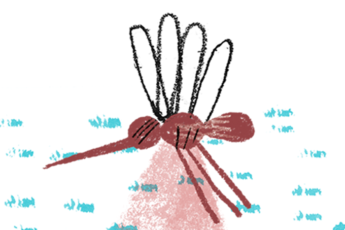 Picada do mosquito-palha é a única forma de transmissão da leishmaniose (Ilustração: Estúdio Zipolite/SAÚDE é Vital)