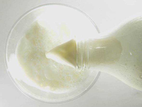 Produção nacional de leite resiste à alta de custos