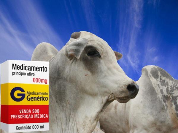 Produção e uso de medicamentos veterinários genéricos entram em vigor