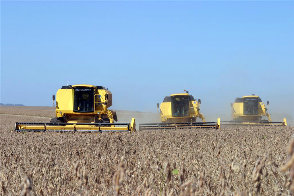 Vendas antecipadas de soja da safra 2012/13 arrefecem