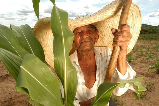 Plano Safra da Agricultura Familiar será lançado hoje no Crea Foto divulgação