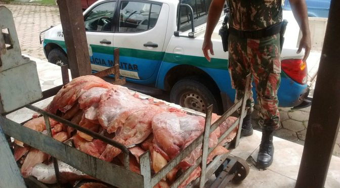 (Foto: Policia Militar Ambiental) 