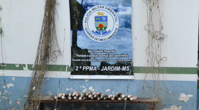 (Foto: Divulgação)