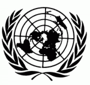 Programas brasileiros de transferência de renda serão levados à Assembleia Geral da ONU