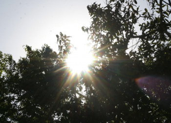 Previsão do tempo: sol predomina em todas regiões do Estado Previsão do tempo: sol predomina em todas regiões do Estado