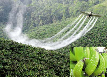 Encontro sobre Agrotóxicos está com inscrições abertas