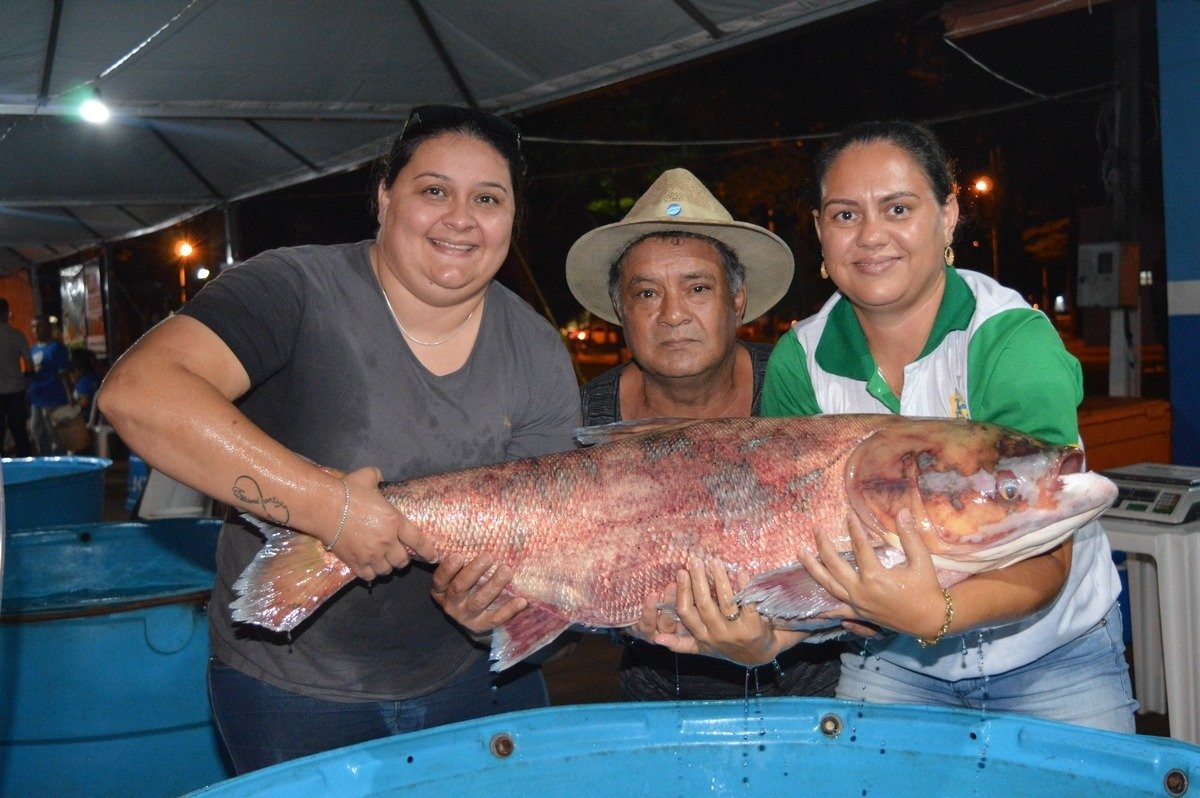 Feira do Peixe: evento será exclusivamente para o comércio do produto Na quinta-feira (9) o evento acontece das 7h às 20h e na sexta-feira (10) das 7h às 18h. / Foto: Moreira Produções