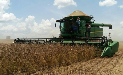 Com medidas simples, produtor pode ampliar produção de soja em 20% Abertura nacional da colheita da soja, promovida em Ponta Porã(Foto: Anderson Viegas/G1 MS)