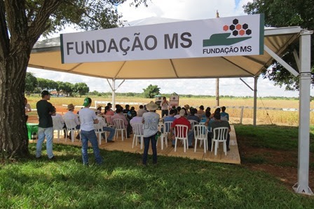 Correção de solo e manejo de pragas da soja são apresentados pela Fundação MS Foto: divulgação