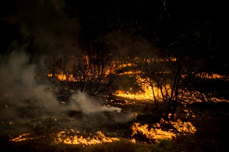 Sul do Chile enfrenta 45 focos de incêndios florestais
