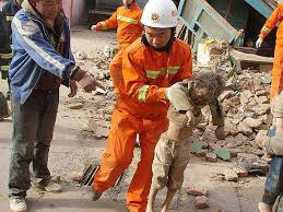 Equipes de socorro continuam buscas por sobreviventes de terremoto na China