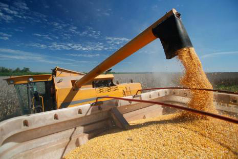 Na abertura oficial da colheita, produtores esperam supersafra de soja Clima favorável deve contribuir para produção recorde no Brasil - Foto: Divulgação