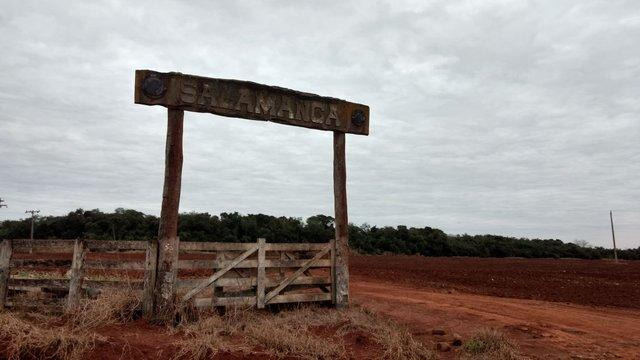 Justiça do Trabalho de Amambai realiza leilão Fazenda de 150 hectares é um dos produtos a serem leiloados / Foto: Divulgação Leião