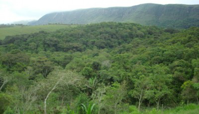 Cadastro Ambiental Rural reforça combate ao desmatamento