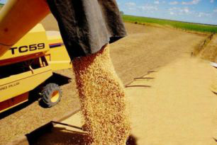 Produção de grãos crescerá até 10% na safra 2012/2013, informa Conab