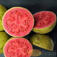 Ivinhema/MS aumenta produção de goiaba