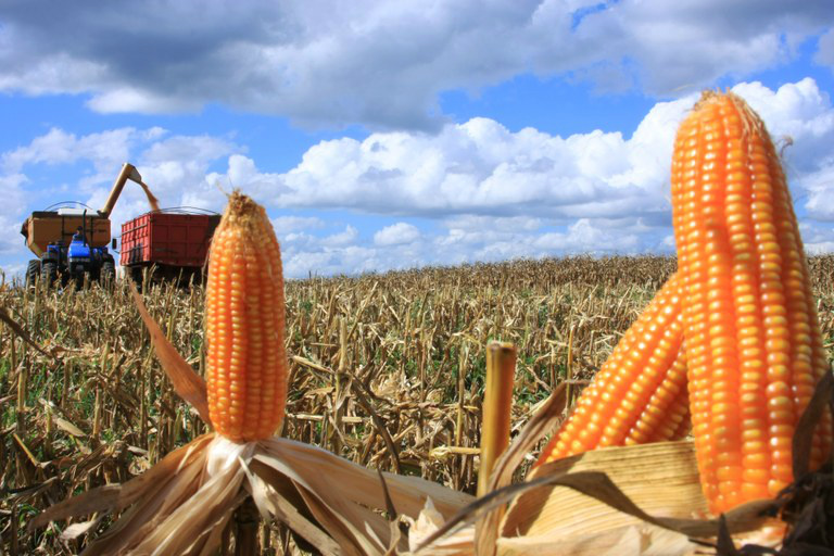 Preços externos podem aliviar inflação de alimentos