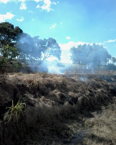 PMA aplica 125 mil em multas durante a operação carnaval