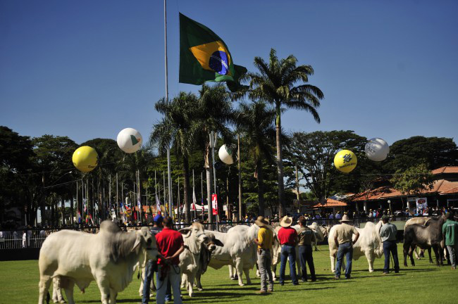 Aprovação do Código Florestal é vitória de toda a sociedade