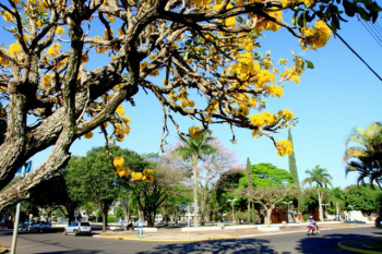 Fotografia selecionada em 2º lugar no Concurso de Fotografias de 2011. O Cerrado e a Cidade/Suzenilton da Silva Amaral.