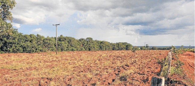 No Cerrrado, produtor rural precisa manter preservado 35% do seu território, para formar sua Reserva Legal, além das APPs - Foto: Valdenir Rezende / Correio do Estado