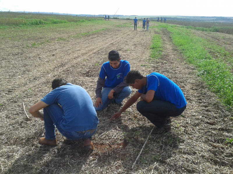 Alunos da Escola Agrotécnica participam de aula prática da Coopersa Alunos aprendem a realizar coleta e calcular perdas na colheita.