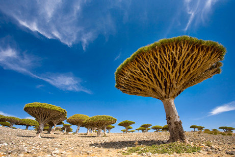 Lugares que não parecem ser na terra