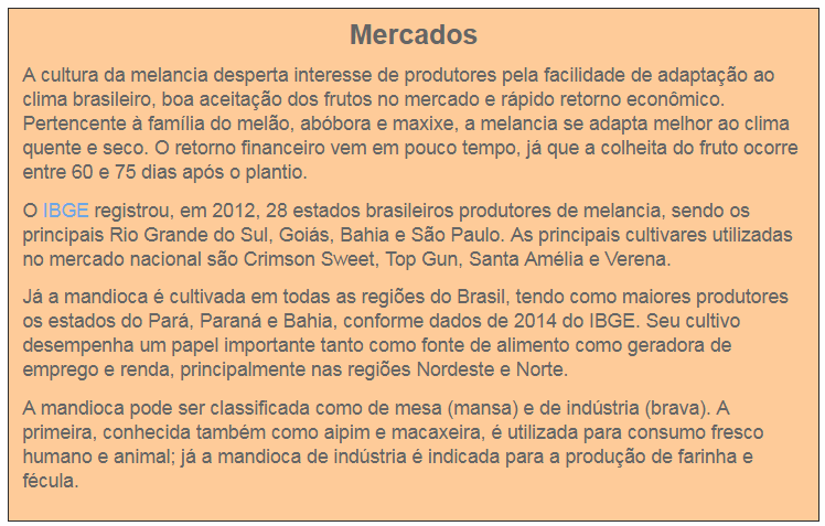 Plantio de melancia com mandioca incrementa em 65% renda do pequeno produtor Foto: Divulgação