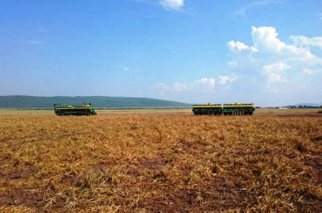 Limitações jurídicas dificultam tomada de decisão no agronegócio (Foto: Divulgação)