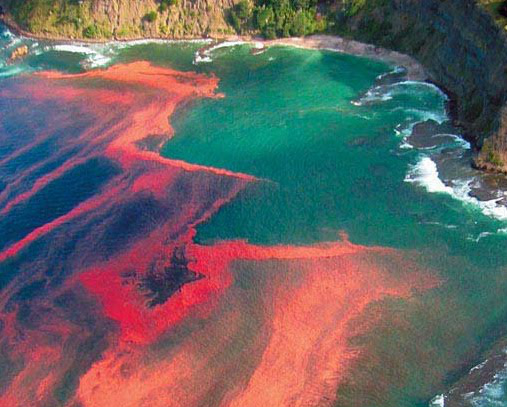 Lugares que não parecem ser na terra