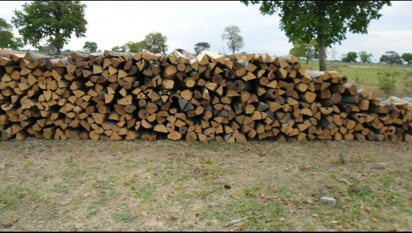 PMA autua fazendeiro em R$ 5,4 mil