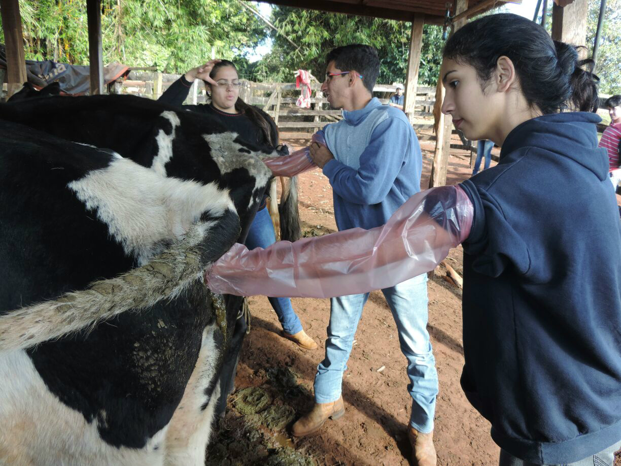 Aula prática de diagnóstico de gestação é oferecida na escolaFoto: Divulgação 