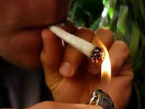 Rui Costa Pimenta e Eduardo Jorge defendem legalização da maconha Rui Costa Pimenta e Eduardo Jorge defendem legalização da maconha