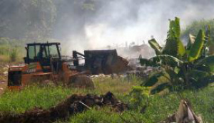 Entre agosto de 2014 a julho de 2015, foram derrubados 5.831 km² de florestas da Amazônia Legal / Foto: Wilson Dias