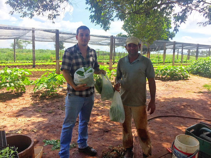 Agricultores são incentivados a fornecer alimentos na merenda escolar Foto: Divulgação