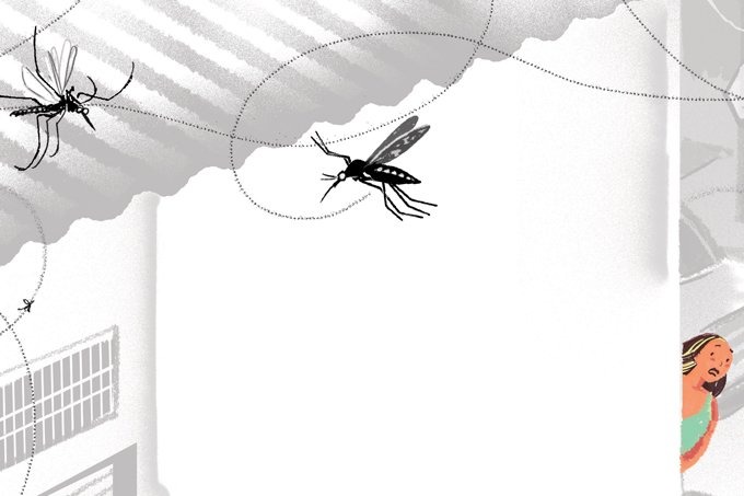 Os vírus que causam dengue e zika, transmitidos pelos Aedes aegypti, são muito parecidos (Ilustração: Nik Neves/SAÚDE é Vital)