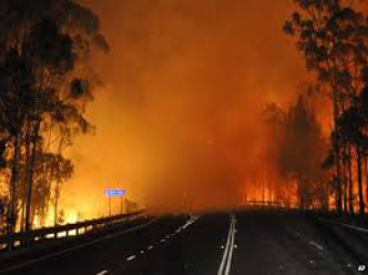 Incêndios na Austrália já destruíram mais de 12 mil hectares