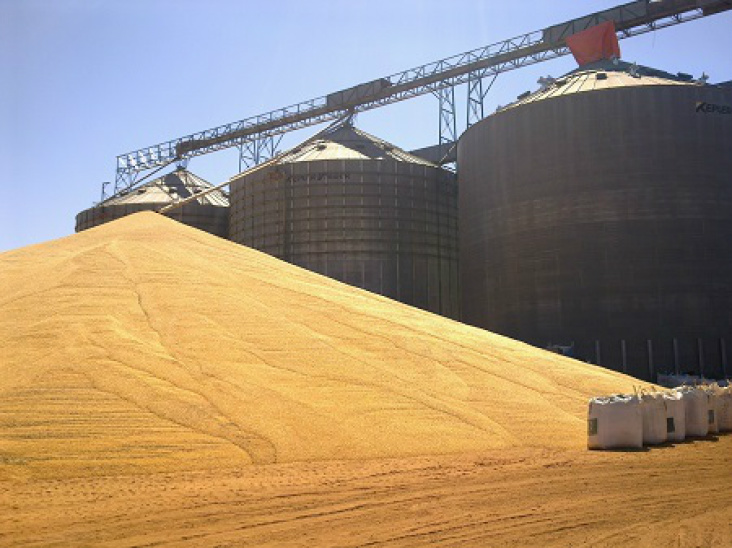 Condomínios de armazém surgem como oportunidade para estocagem de grãos