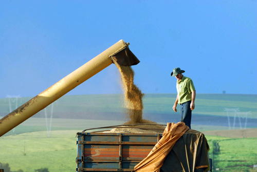 Agronegócio apresenta número recorde de 51,5% nas exportações em maio Agronegócio apresenta número recorde de 51,5% nas exportações em maio
