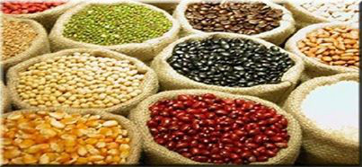 MS responde por 4,2% de toda a produção agrícola do País, aponta IBGE