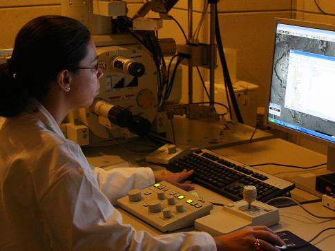 Brasileiros participam de projetos de pesquisa de alta tecnologia