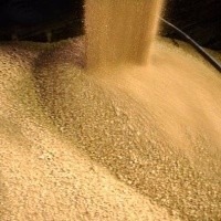 Fava Neves: Guarde soja, pois viés é de alta Fava Neves: Guarde soja, pois viés é de alta