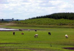 Ruralistas e ambientalistas querem discutir regras de cadastro rural Ruralistas e ambientalistas querem discutir regras de cadastro rural