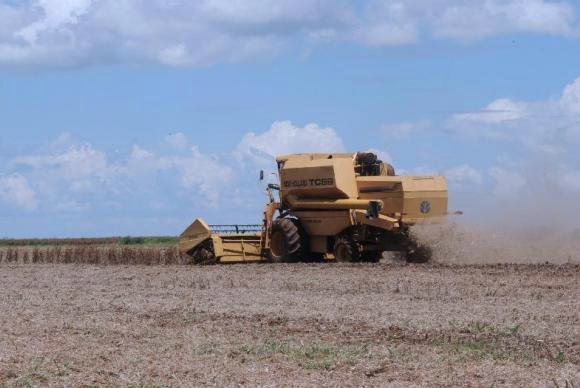 Contribuição do agronegócio para balança comercial deve cair em torno de 3% em 2015, prevê a Sociedade Nacional de Agricultura Arquivo/Agência Brasil