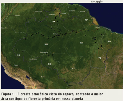 ONGs lançam plataforma para mapear mudanças no uso do solo no país