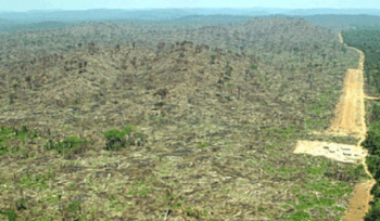 Freio à invasão estrangeira